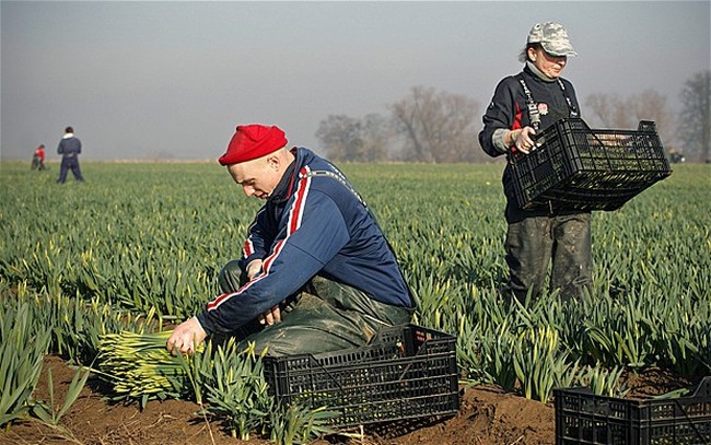 Proof: the Labour Party really do hate the working man