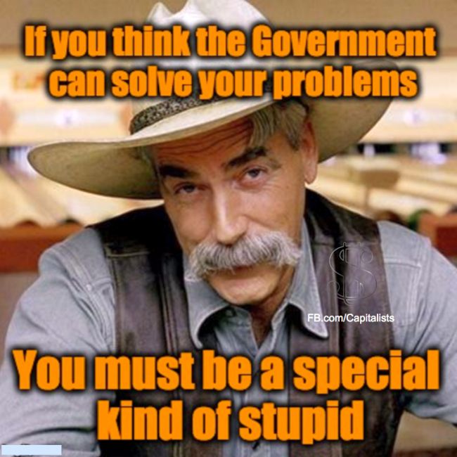 Government stupid 650