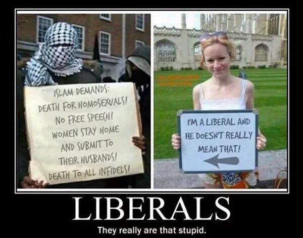 liberalism islamic worldview and the effects David p goldman calls it “the closing of the muslim womb” if demographic winter is encroaching slowly on the west, a snap frost has overtaken the muslim world europe has had two hundred years to make the transition from the high fertility rates of rural life to the low fertility rates of the industrial world. liberalism islamic worldview and the effects David p goldman calls it “the closing of the muslim womb” if demographic winter is encroaching slowly on the west, a snap frost has overtaken the muslim world europe has had two hundred years to make the transition from the high fertility rates of rural life to the low fertility rates of the industrial world.
