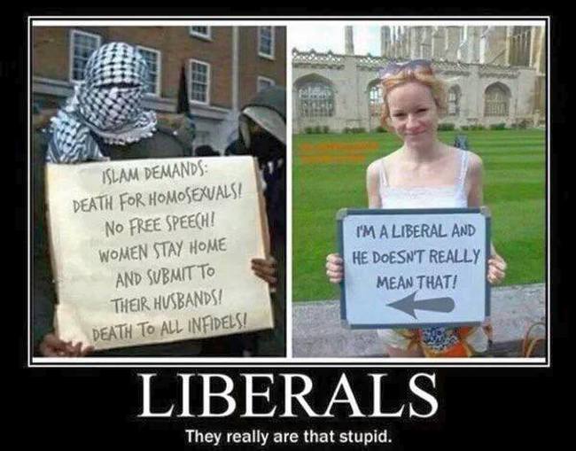 Islam-liberals-650.jpg